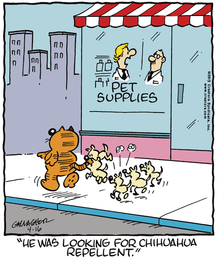 heathcliff